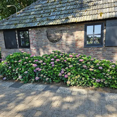Schouwenberg Holiday home *