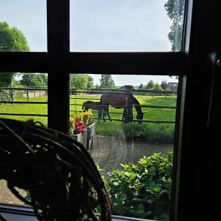 Schouwenberg 度假居 *