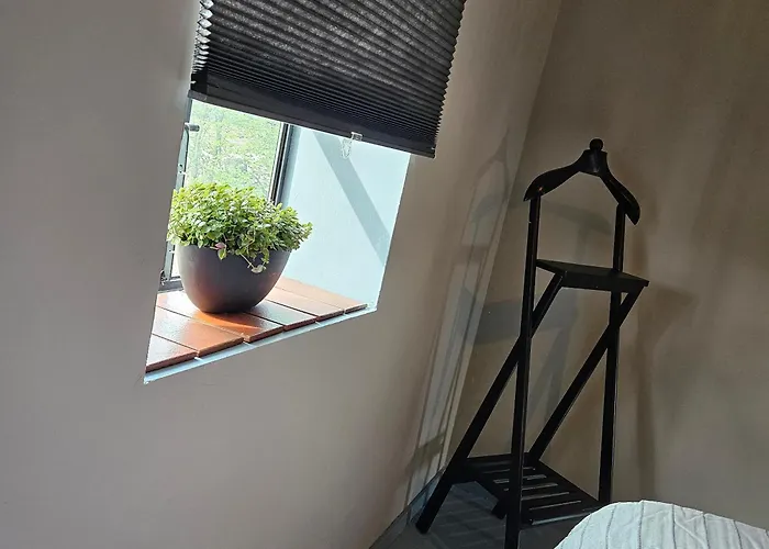 Dom wakacyjny Schouwenberg *