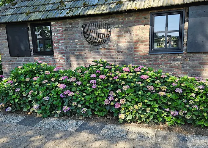 Schouwenberg Dom wakacyjny *