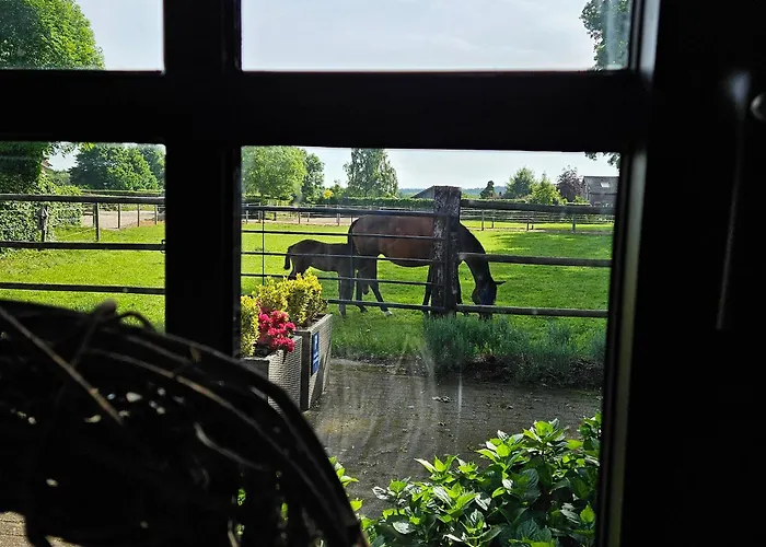 Schouwenberg Dom wakacyjny *